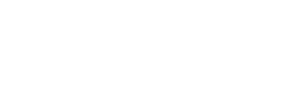 your next mission logo